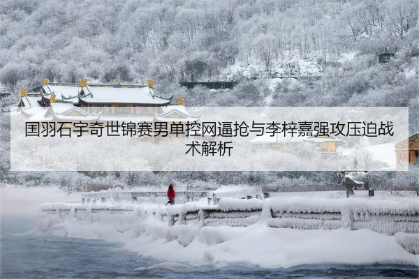 guo-yu-shi-yu-qi-shi-jin-sai-nan-dan-kong-wang-bi-qiang-yu-li-zi-jia-qiang-gong-ya-po-zhan-shu-jie-xi-3-658.jpg