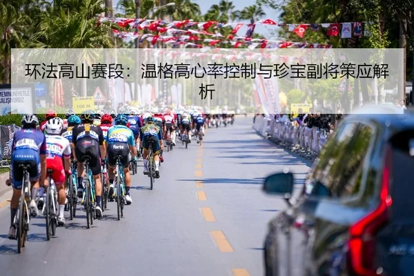 huan-fa-gao-shan-sai-duan-wen-ge-gao-xin-lv-kong-zhi-yu-zhen-bao-fu-jiang-ce-ying-jie-xi-3-563.jpg