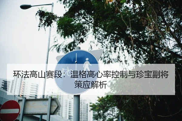 环法高山赛段：温格高心率控制与珍宝副将策应解析
