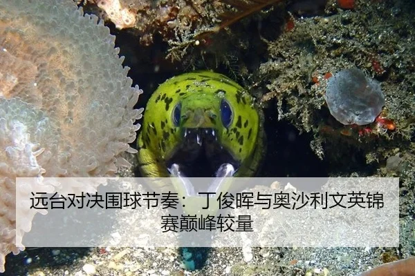 远台对决围球节奏：丁俊晖与奥沙利文英锦赛巅峰较量