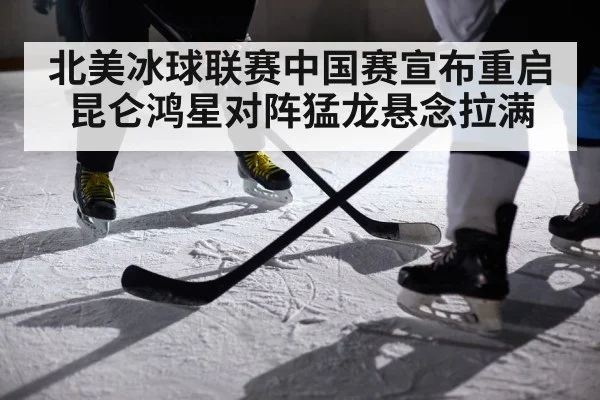 ice hockey players