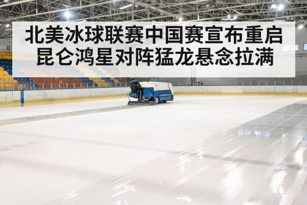 ice hockey arena